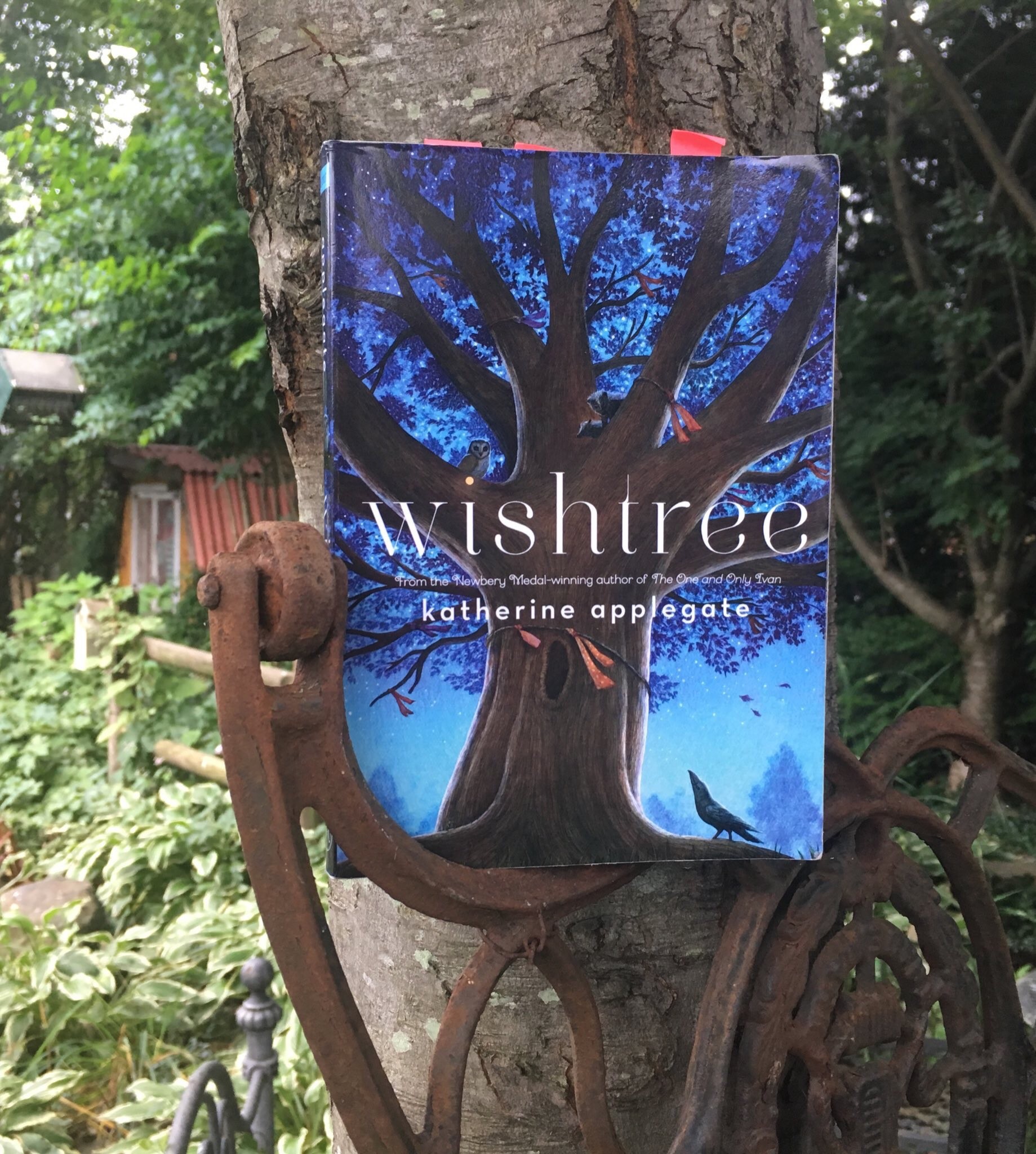 Wishtree by Katherine Applegate – Beagles & Books