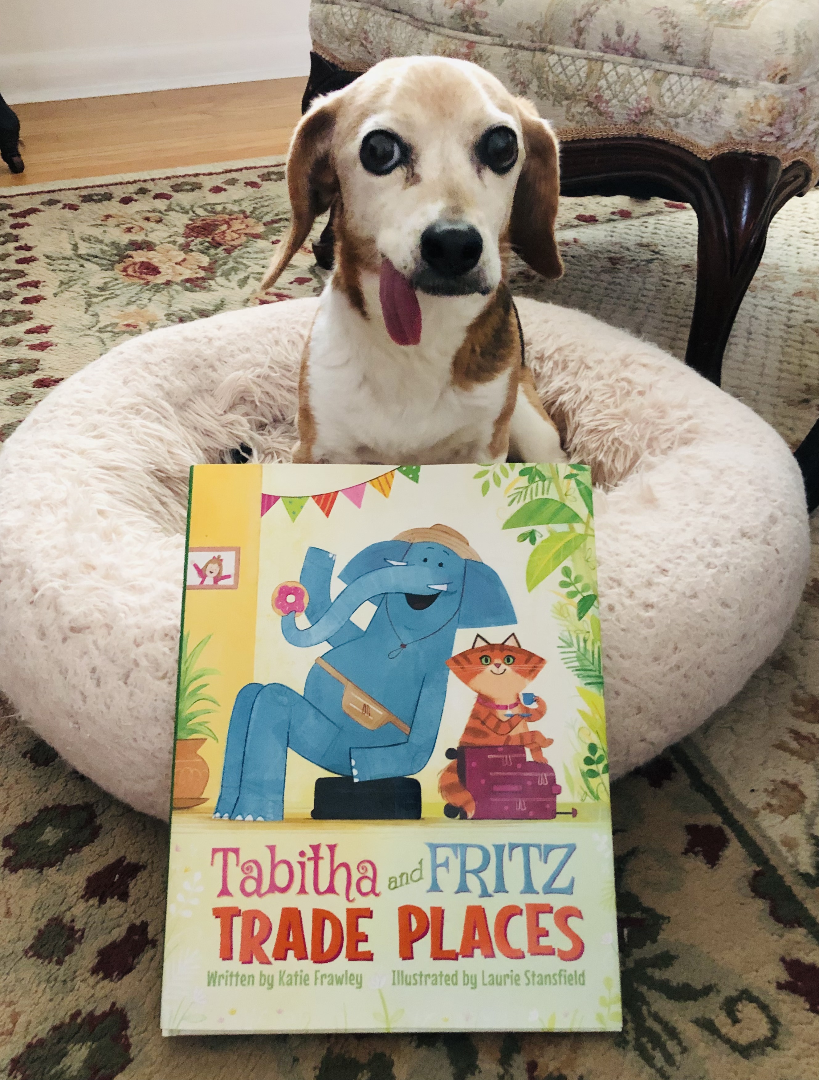 02E9C3C3-99EF-4CEE-876B-D737C3022037