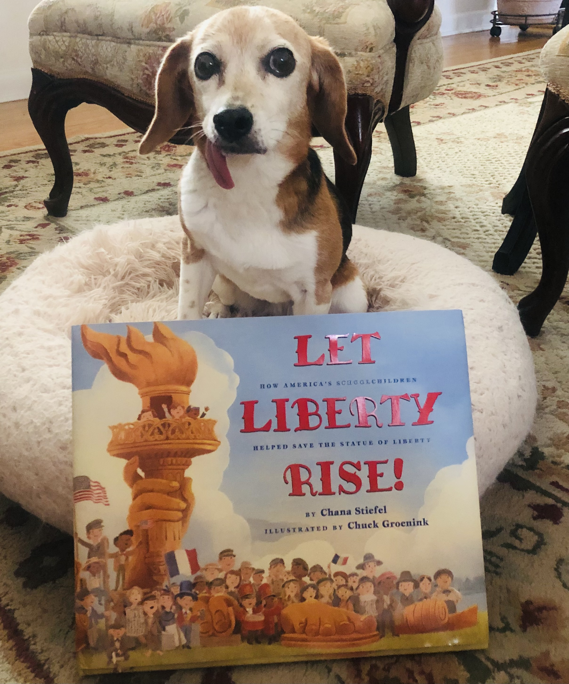 A92ABBA8-6BA7-438A-AF36-5E21AF98DD3D