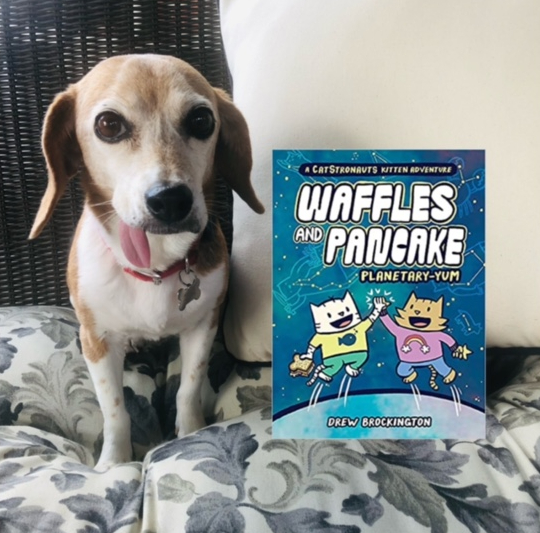 This image has an empty alt attribute; its file name is etta-beagles-and-books-e1624813174378.jpg