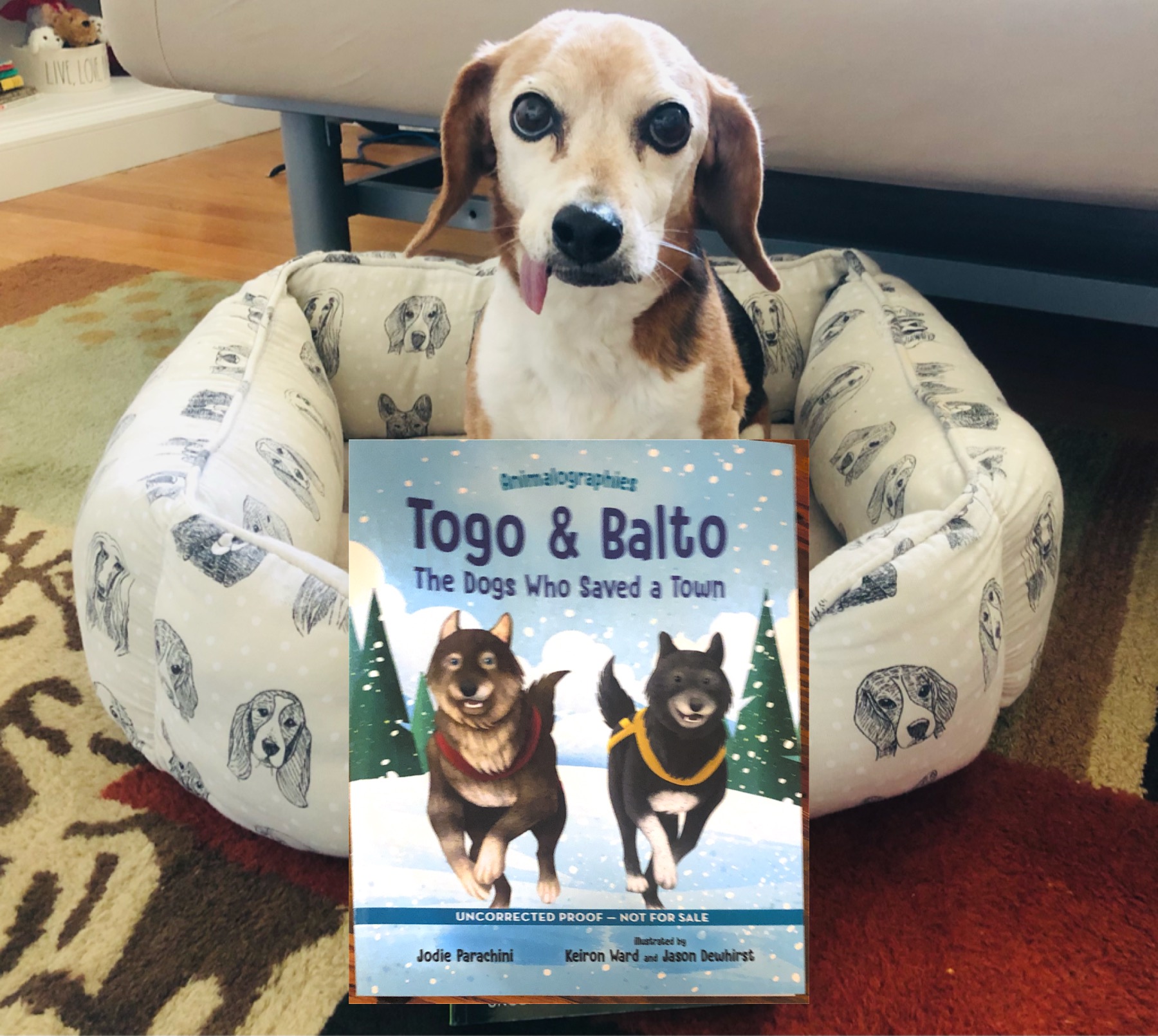 CC35DA7D-2CBB-43B3-837F-27231A307F98