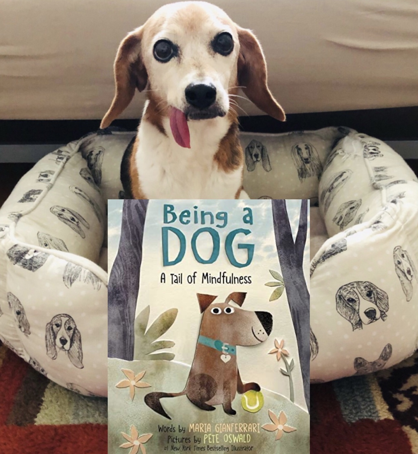 6531FD1B-60FA-4358-BF83-A3F46B463842